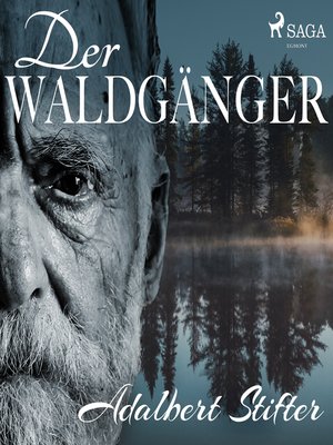 cover image of Der Waldgänger